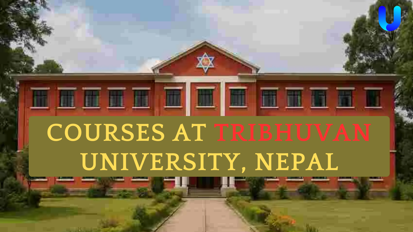 Courses at Tribhuvan University, Nepal: What Students Really Want to Know