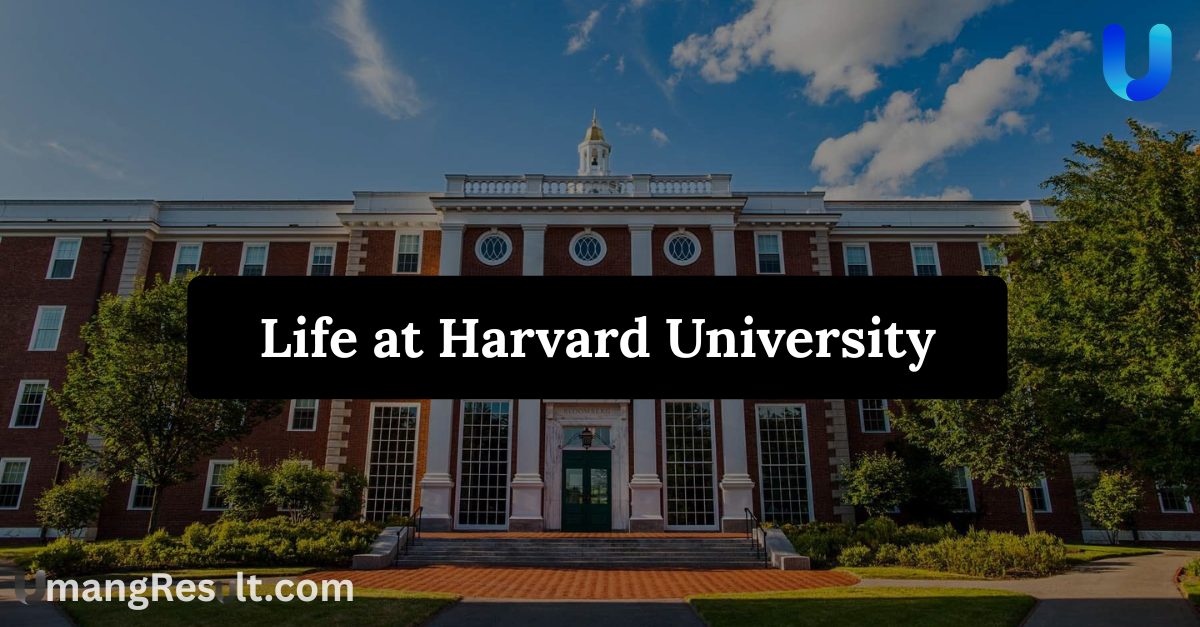 Life at Harvard University